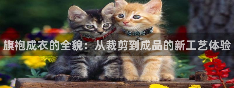 天辰娱乐60447