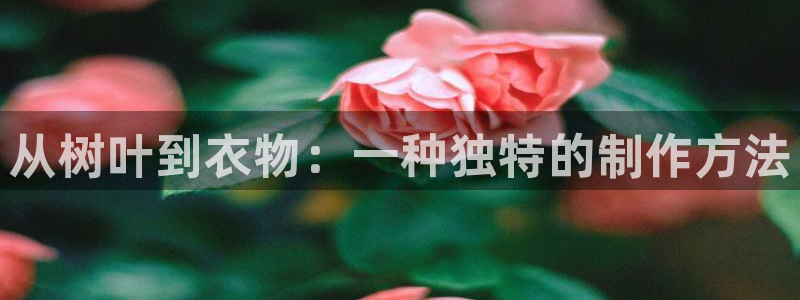 天辰a娱乐