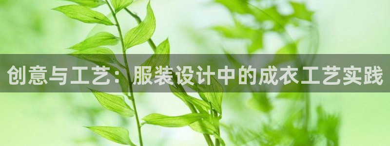 集宁天辰娱乐