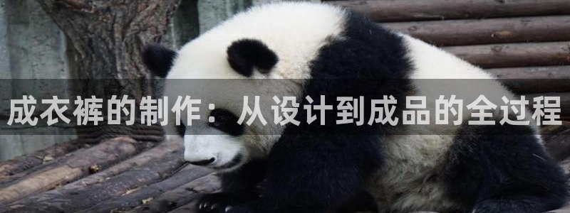 手机上怎么下载天辰娱乐