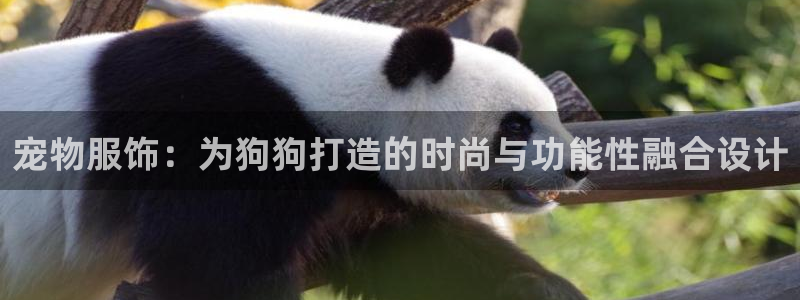天辰团队贝高娱乐