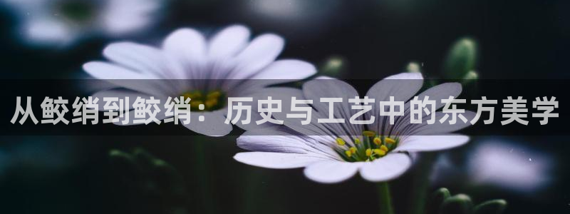 天辰娱乐跑的快
