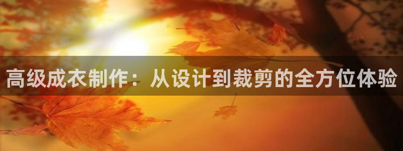 手机上怎么下载天辰娱乐