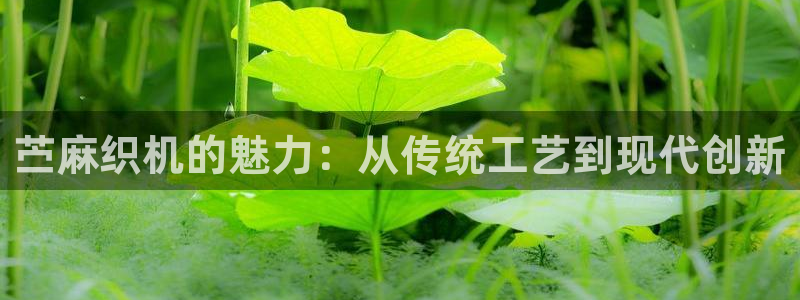 天辰天富娱乐