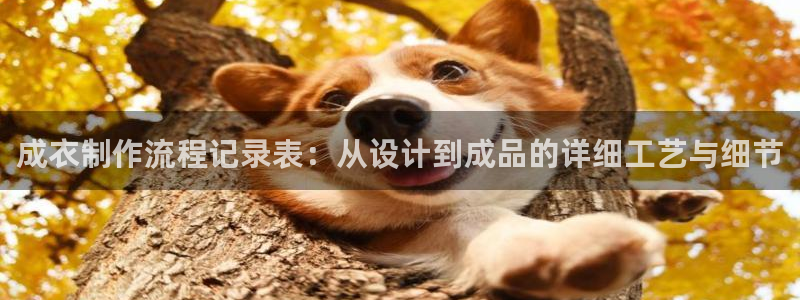 天辰娱乐老板