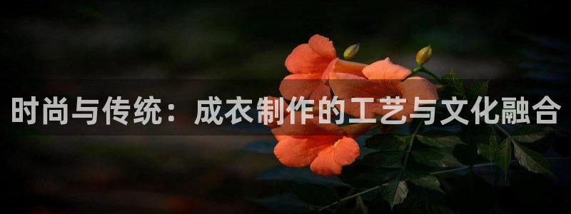 天辰娱乐的网址首页