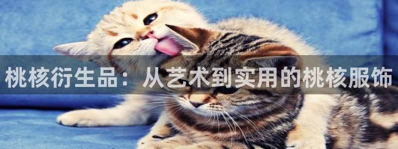 天辰娱乐在线
