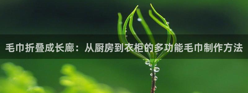 天辰娱乐 231639