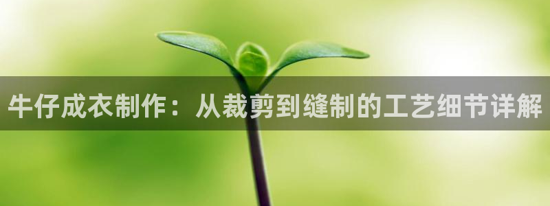 天辰娱乐登陆