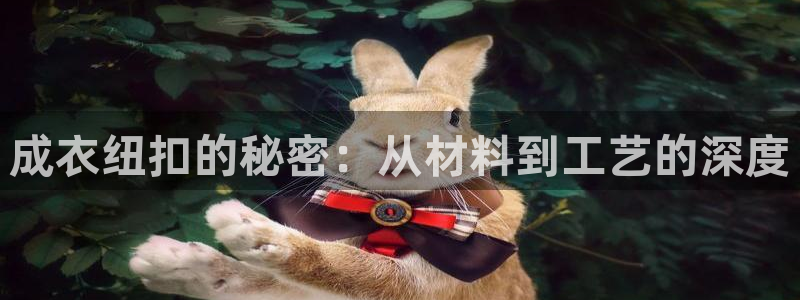 天辰娱乐上级