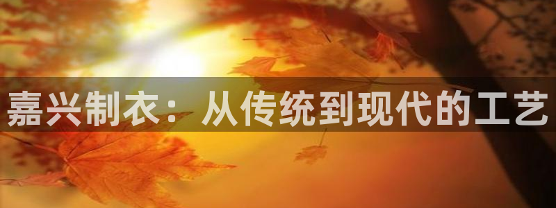 天辰娱乐481928