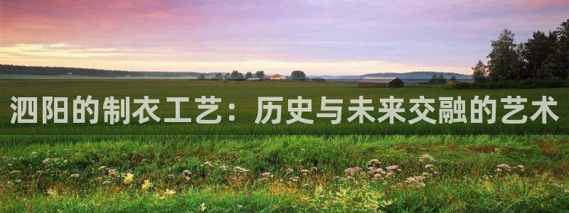 南京天辰娱乐