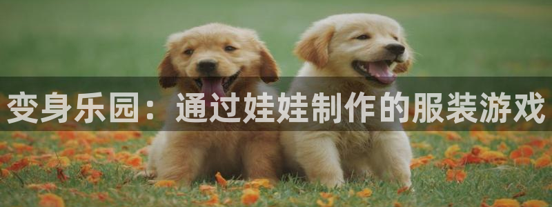天辰娱乐-18113