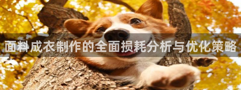 天辰娱乐平台安全吗