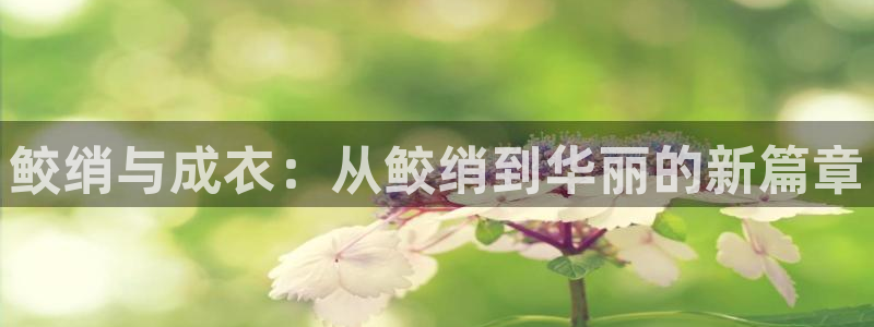 天辰娱乐60447