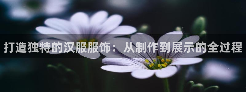 大同天辰娱乐