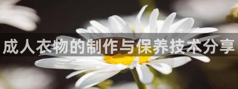 天辰娱乐1980