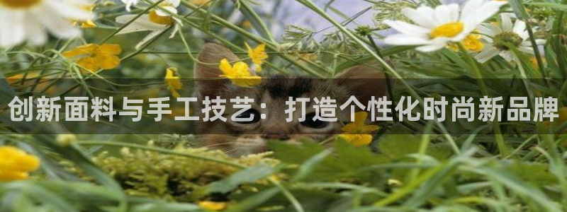 天辰娱乐文案
