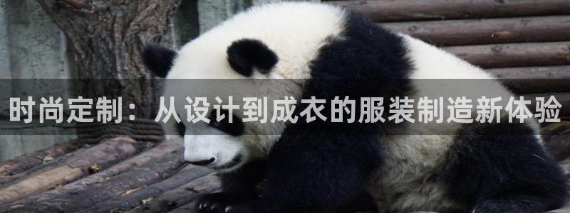 天辰彩票娱乐