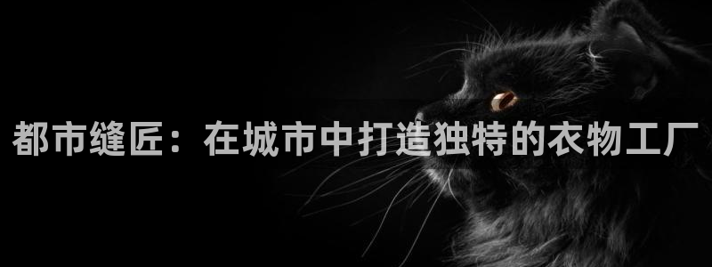 天辰娱乐分红