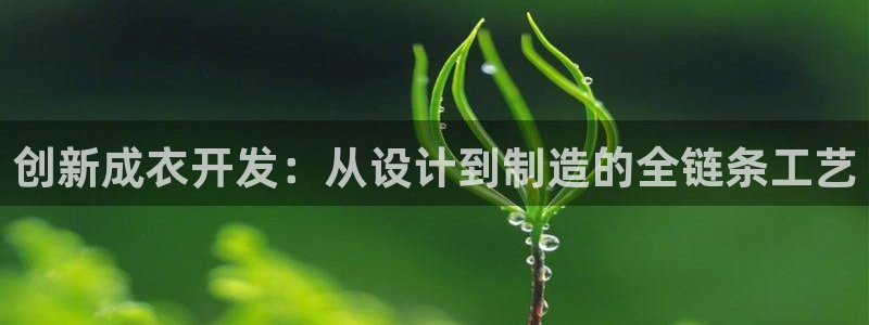 天辰团队贝高娱乐