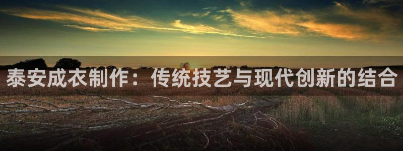 天辰娱乐游戏平台怎么样