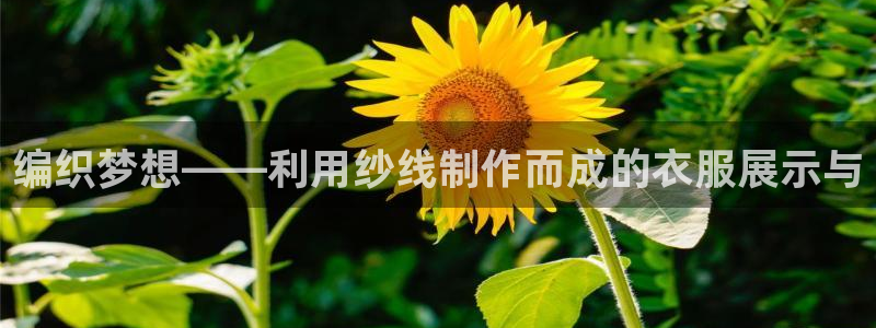天辰娱乐游戏平台怎么样