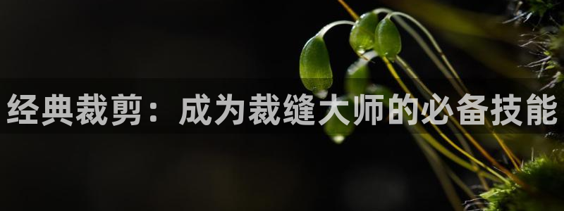 天辰娱乐app