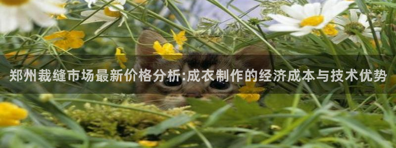 天富娱乐天辰娱乐