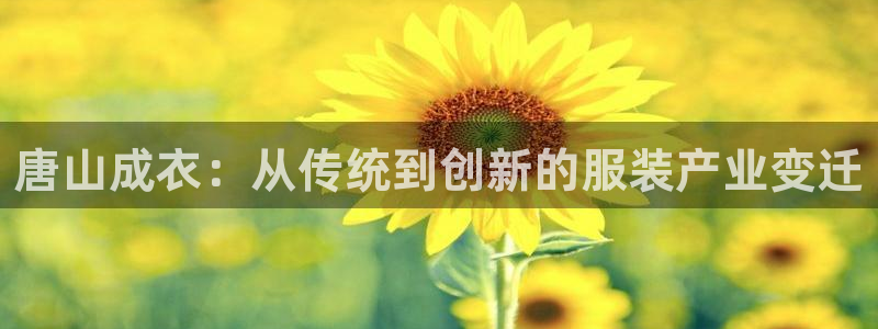 天富娱乐与天辰娱乐