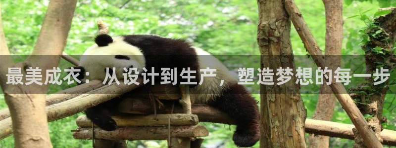 菲律宾天辰娱乐