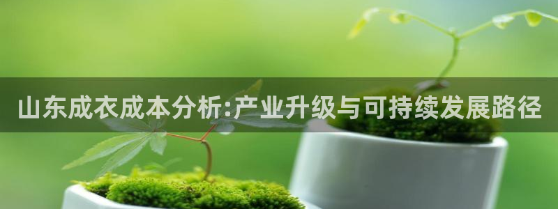 天辰娱乐主管