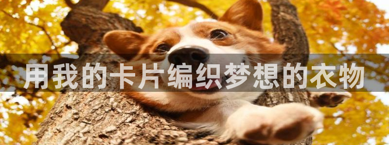 天辰娱乐测速