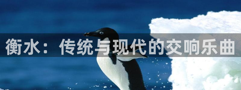 天辰娱乐平台app下载